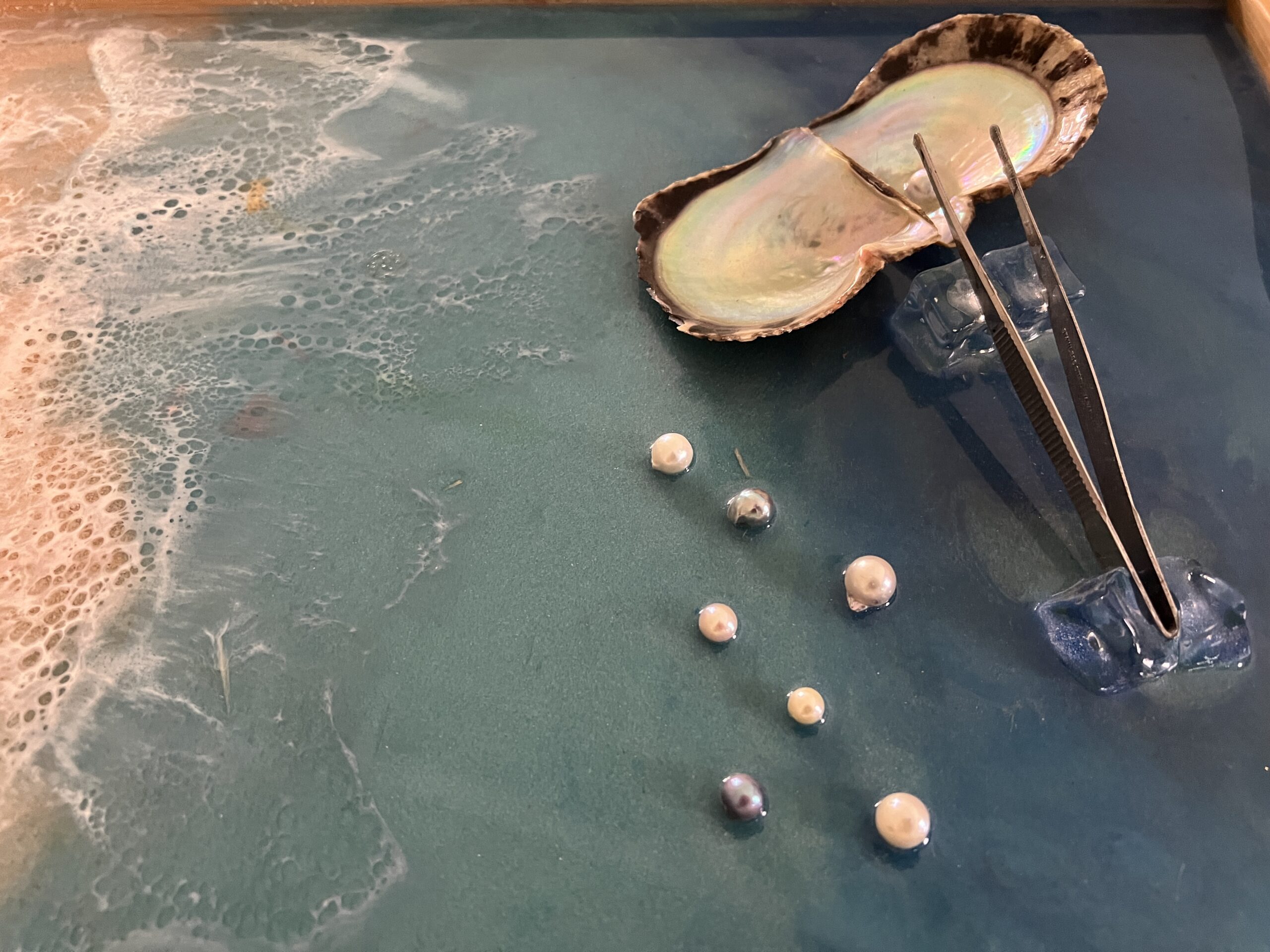 真珠取り出し体験